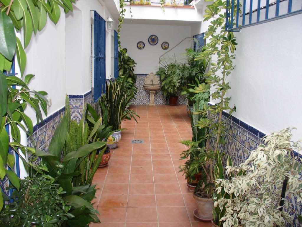 Hostal San Ramon Μαρμπέλλα Εξωτερικό φωτογραφία